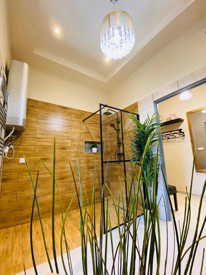Delux Home City Center - Seghedin Exterior foto